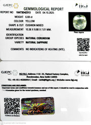 6.69/CT Natural Yellow Sapphire With Govt Lab Certificate (12210)